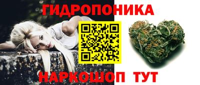 прущие крисы Гудермес