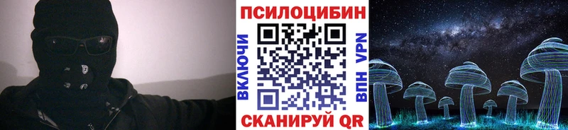 blacksprut   Лиски  Псилоцибиновые грибы Cubensis 