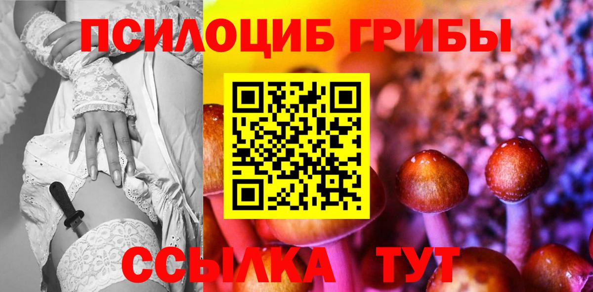 Псилоцибиновые грибы Psilocybe Лиски